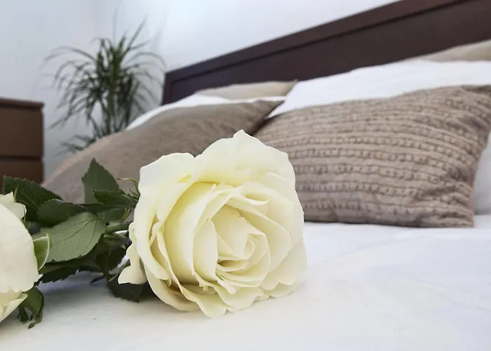 Blue Electra Complex Apartment