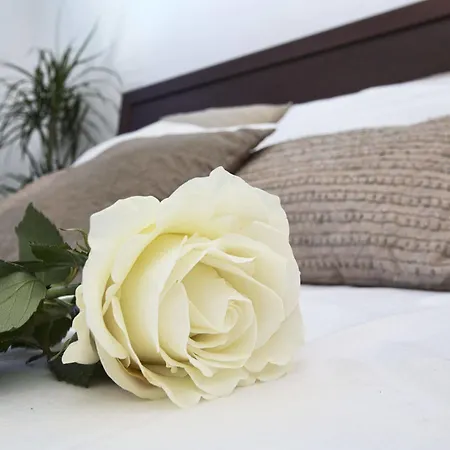 Blue Electra Complex Διαμέρισμα